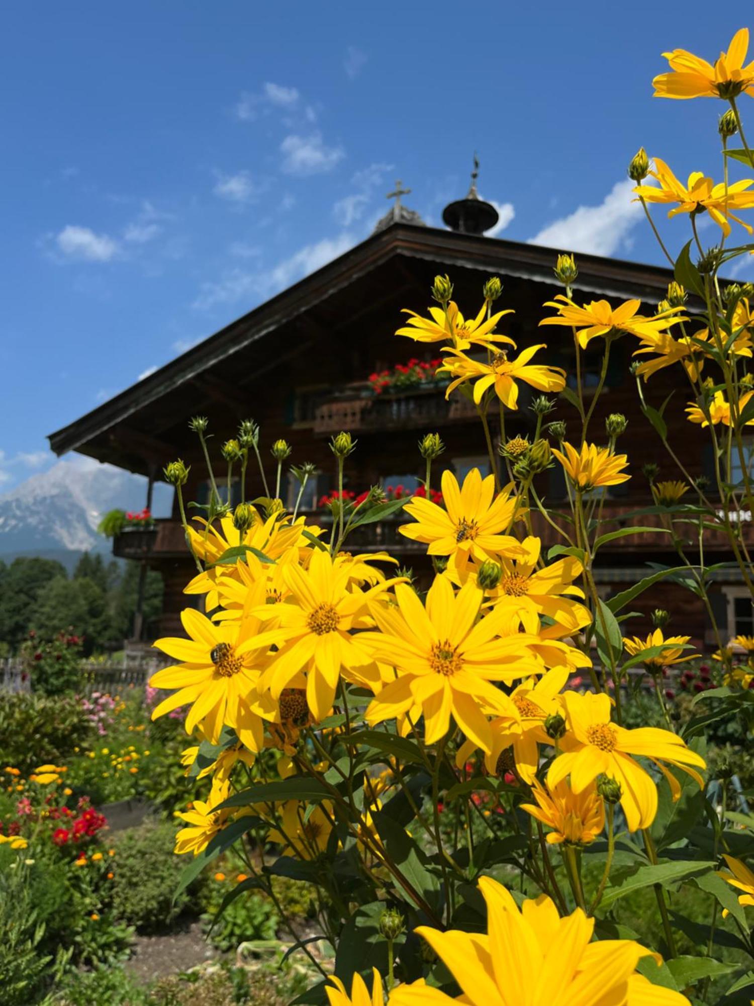 Frühstückspension Mirabelle 3*